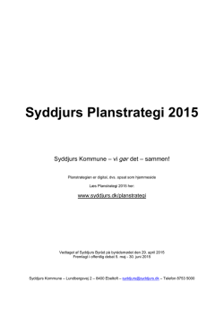 Syddjurs Planstrategi 2015 - 16-12-2009