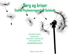 Power Points - Dansk Psykolog Forening