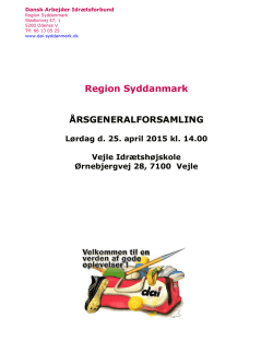 Se årsmappe - DAI - Region Syddanmark