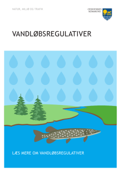 Folder om vandløbsregulativer