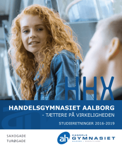 Brochure - HHX studieretninger 2016-2019