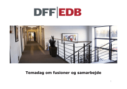 Lars Horn Frederiksen, DFF-EDB