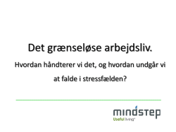Præsentation, Niels Møller Mortensen, Mindstep