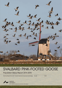 Svalbard Pink-footed Goose. Population Status Report 2014