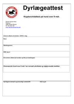 Kryptorchid attest DKK