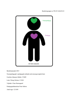 Neurop&aelig;dagogik bachelor