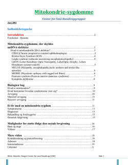 as-rapport3