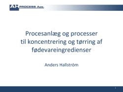 Anders Hallström, AH Process Aps