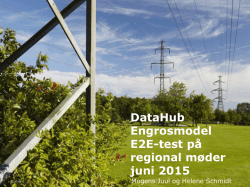 DataHub Engrosmodel E2E-test på regional møder