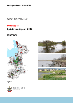 Spildevandsplan2015, tekstdel