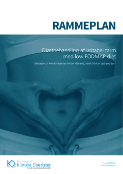 RAMMEPLAN - Foreningen af Kliniske Diætister