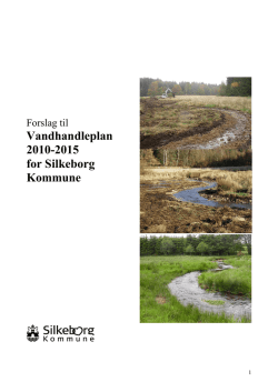 Forslag til Vandhandleplan 2010-2015 for Silkeborg Kommune