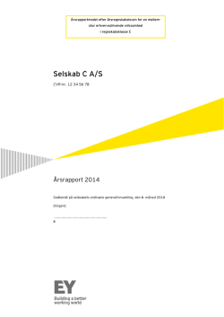Selskab C A/S - Ernst & Young