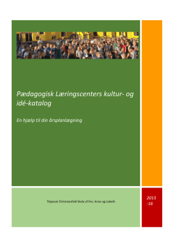 Årsplan for Amagerskolens PLC 2012-13