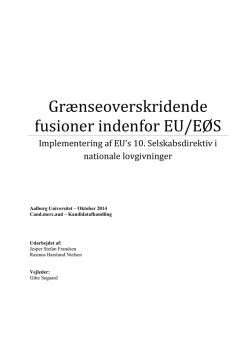 Grænseoverskridende fusioner indenfor EU/EØS