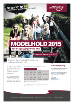 Brochure om Modelskolen 2015