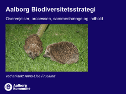 Aalborg Biodiversitetsstrategi