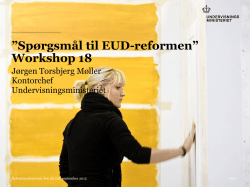 Spørgsmål til EUD-reformen” Workshop 18