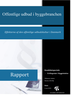 Rapport - Aalborg Universitet
