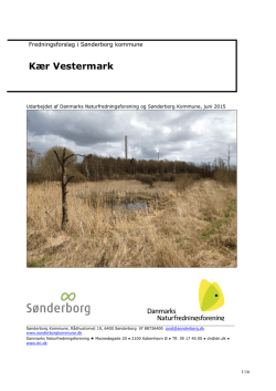 Kær Vestermark - Danmarks Naturfredningsforening