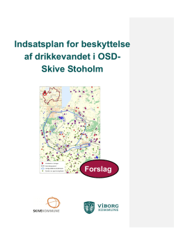 2. Indsatsplan Skive-Stoholm FORSLAG145992/14