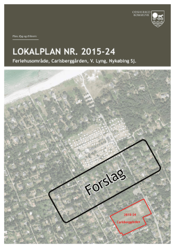 Lokalplanforslag 2015-24, Feriehusområde