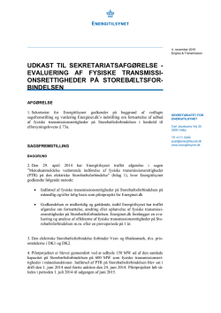 Udkast til afgørelse