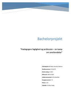Bachelorprojekt Mads Nielsen pr10v575