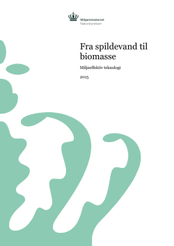 Fra spildevand til biomasse
