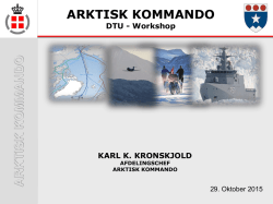 Arktisk Kommando