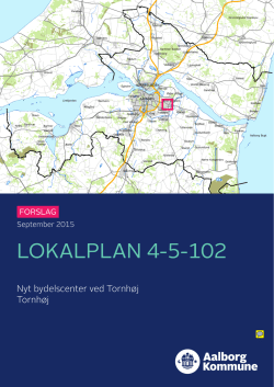 ny lokalplan for det centrale område i Tornhøj