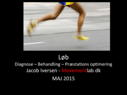 Jacob Iversen - loebeskadekonference2015.org