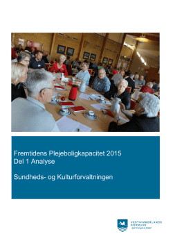 Rapport - Vesthimmerlands Kommune