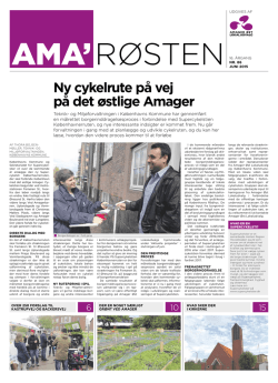 86_2015 - Amager Øst Lokaludvalg