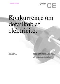 Konkurrence om detailkøb af elektricitet PDF 2481 kb