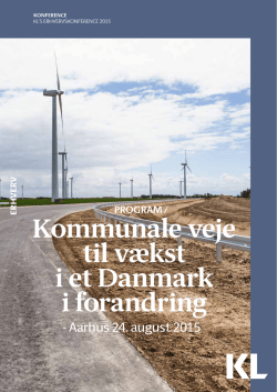Kommunale veje til vækst i et Danmark i forandring