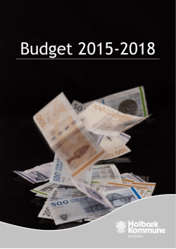 Her kan du se den samlede budgetpublikation