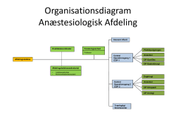 Organisationsdiagram Anæstesiologisk Afdeling
