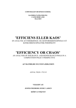 `efficiens eller kaos` `efficiency or chaos`