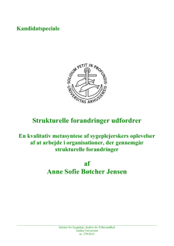 Strukturelle forandringer udfordrer af Anne Sofie Bøtcher