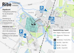 RibePARKERING PARKING