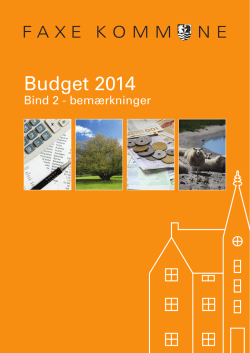 Budget 2014 - Bind 2