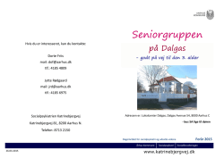 Seniorgruppen på Dalgas (pdf 754 KB)