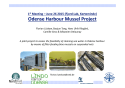 1st Meeting Odense Harbour Mussel Project 26 June 2015