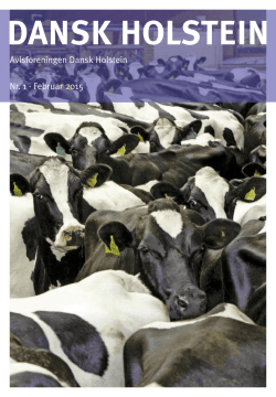 Nr. 1 februar - Dansk Holstein
