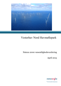 Natura 2000 væsentlighedsvurdering
