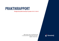 PRAKTIKRAPPORT - Rikke Carlsen