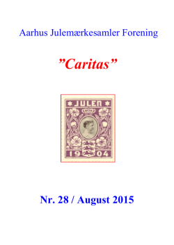 Caritas bladet No. 28 august 2015