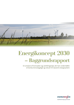 Energikoncept 2030 - Baggrundsrapport
