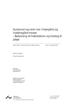 Sumpviol og rank viol i Kærgård og Vallensgård moser